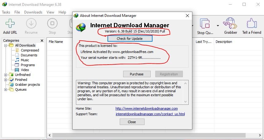 Internet Download Manager 6.38 Build 15 2021 view